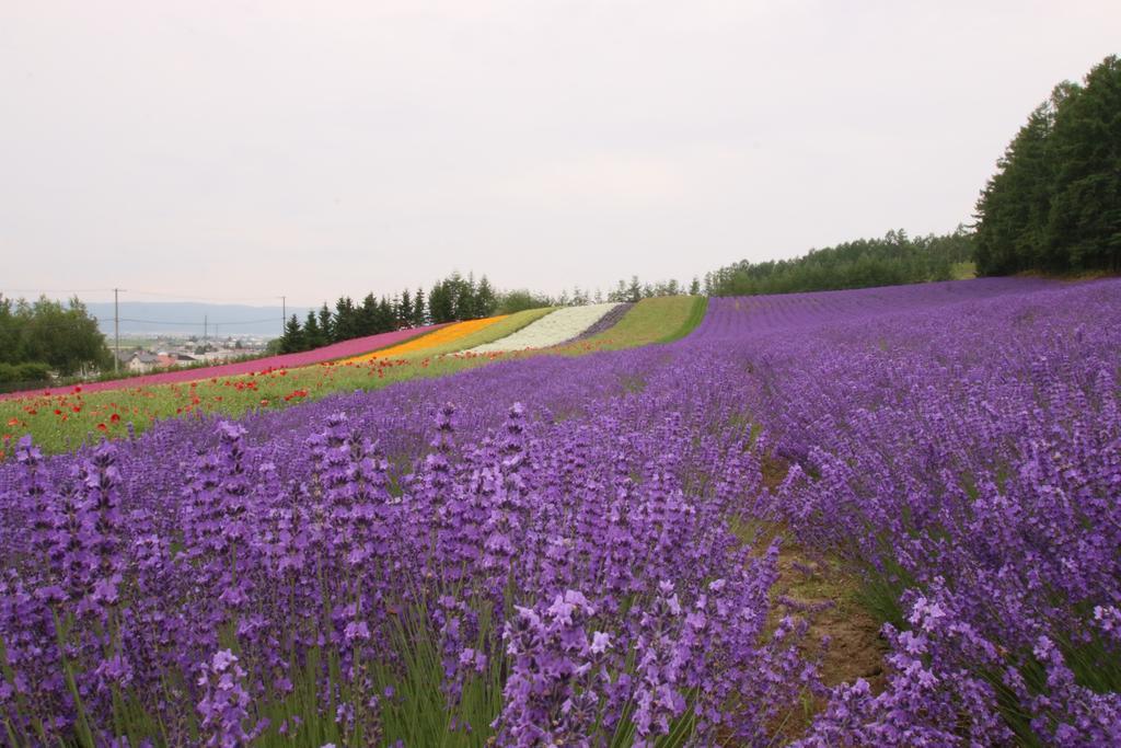 Furano Shiyuirin Hotel Kamifurano Exterior foto